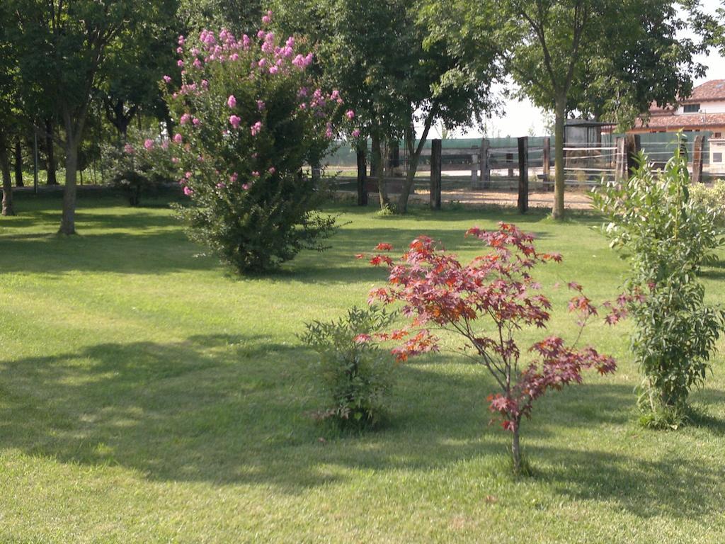 Agriturismo Arte Contadina Fiorenzuola dʼArda المظهر الخارجي الصورة